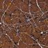 Pollock